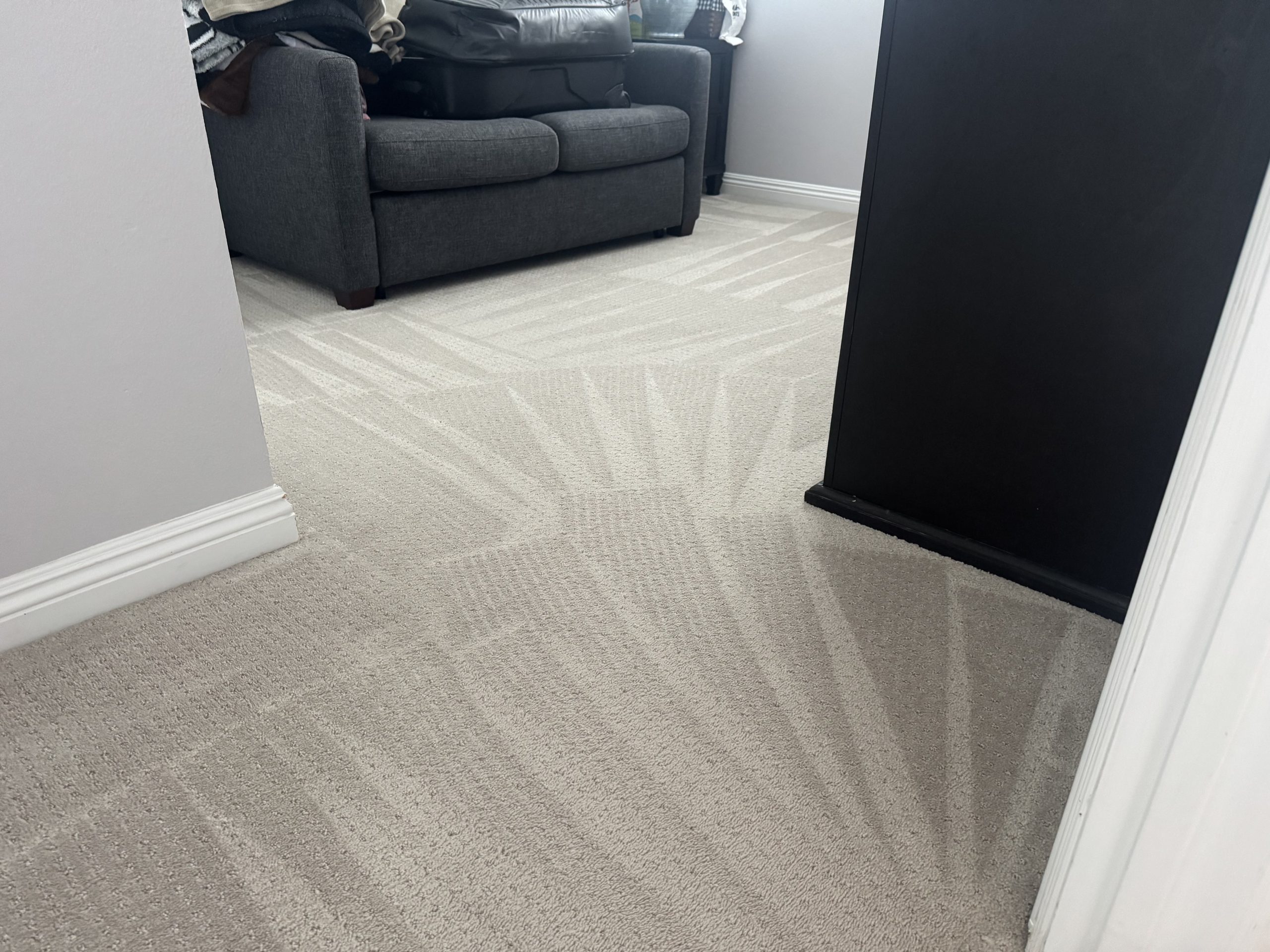 What To Do When You Have Water Damaged Carpets